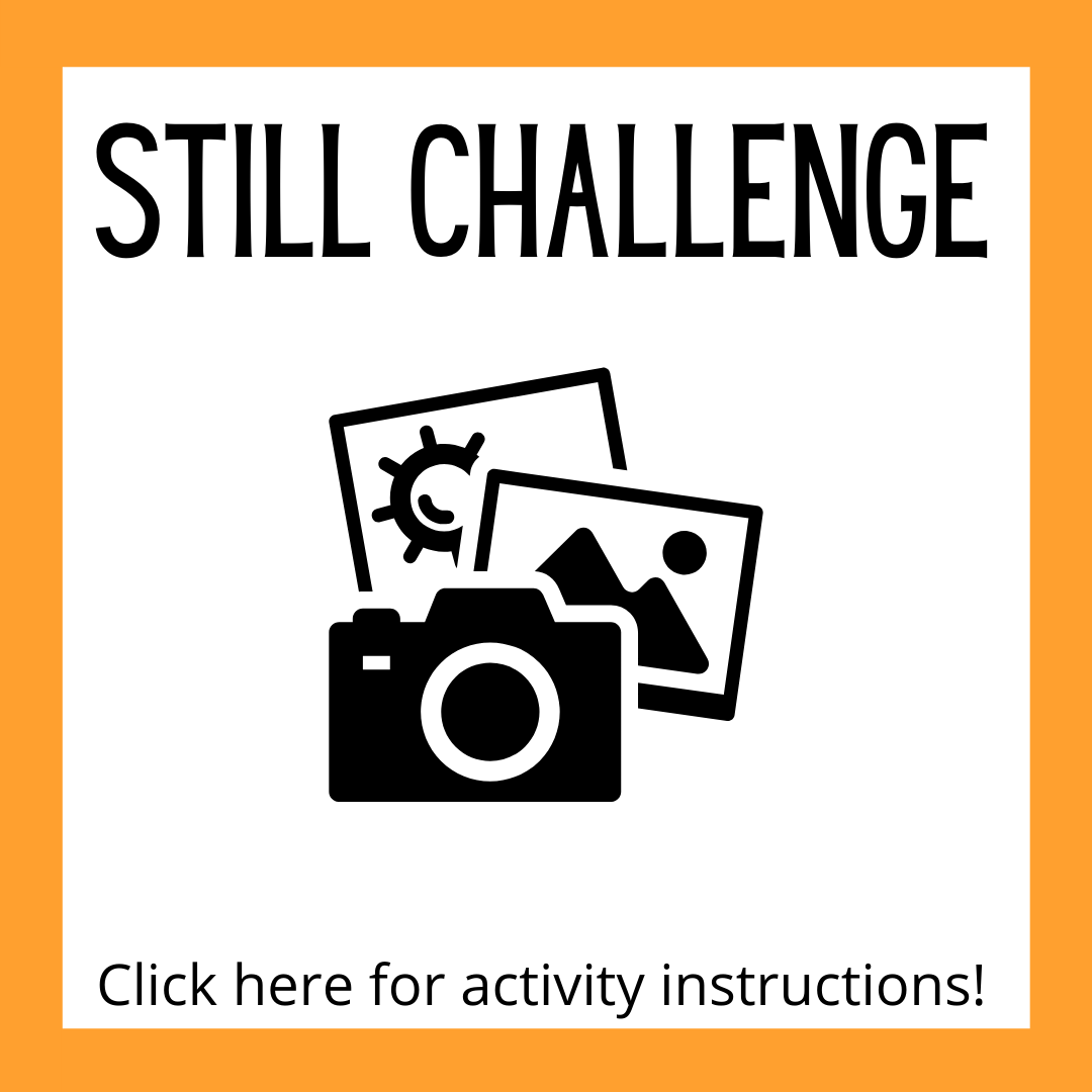Still Challenge Activity Instructions page.