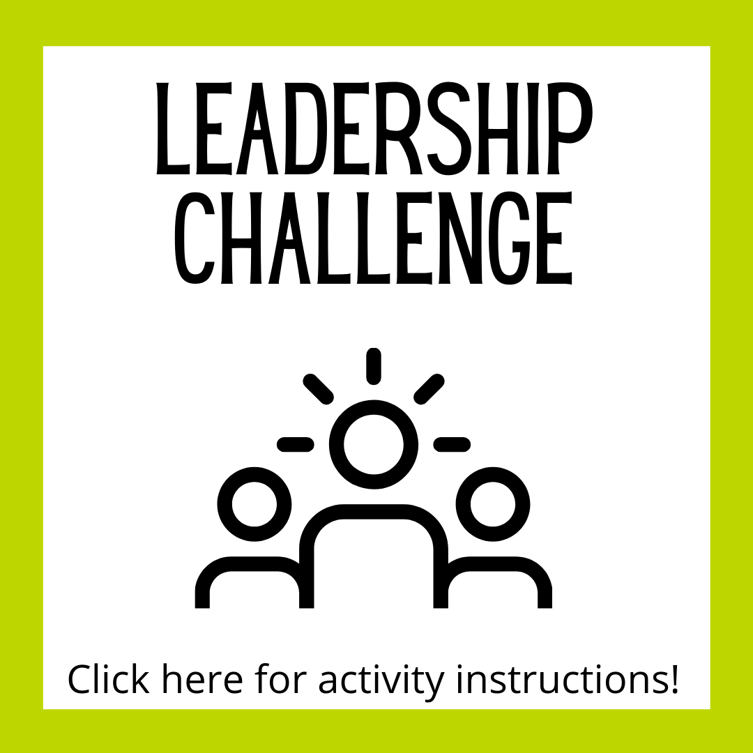 Leadership Challenge Activity Instructions page.