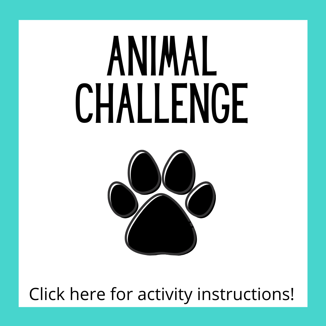 Animal Challenge Activity Instructions page.