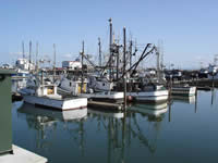 MooredBoats