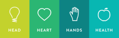 Four colored panels labeled Head, Heart, Hands, and Health, each with a simple icon representing the 4-H essential elements.