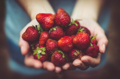 Close-up of two hands holding a pile of fresh red strawberries.
