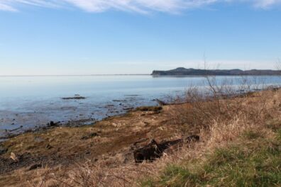 Calm coastal shoreline with rocks, grass, and distant land across the water under a clear sky.