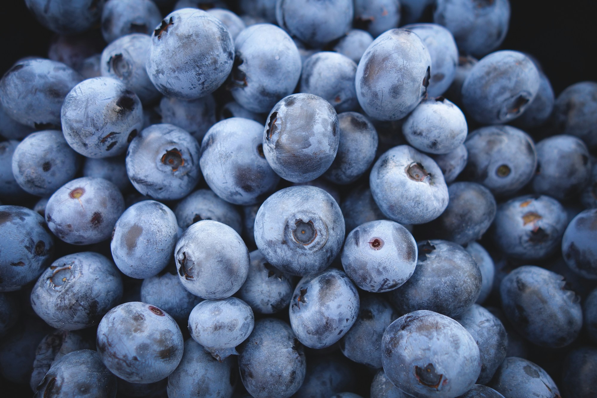 Close-up view of fresh blueberries clustered together.