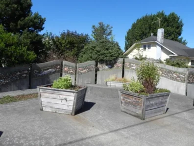 Two raised wooden garden beds with plants on a paved patio, with a fence and house in the background.