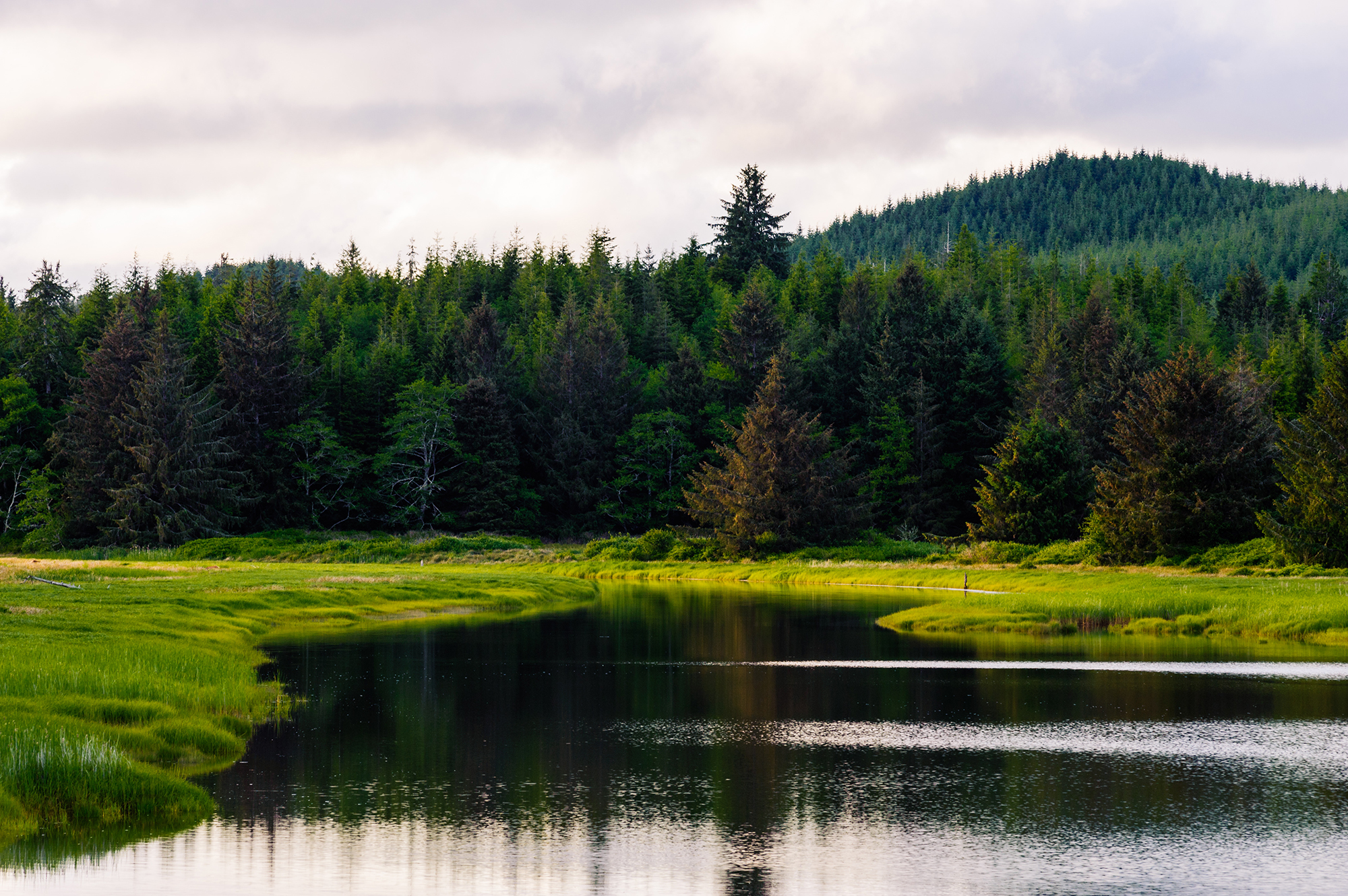 Cedar River, Pacific County, Washington.