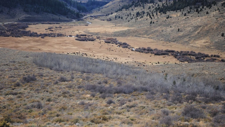 Large valley and hillside.
