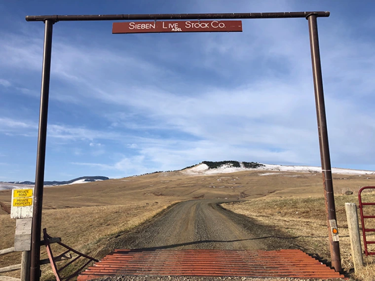 Gravel road entrance to Sieben Live Stock Co.