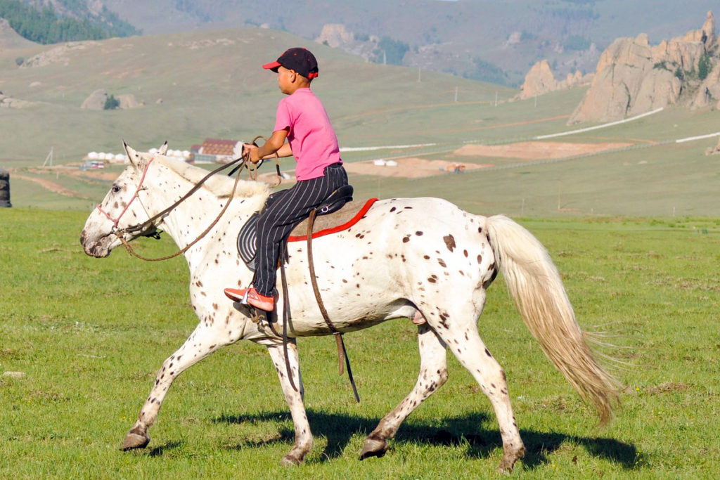 Child riding a horse in an open field