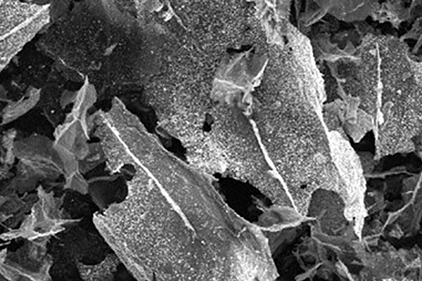 Scanning electron microscope image of tin oxide graphene materals