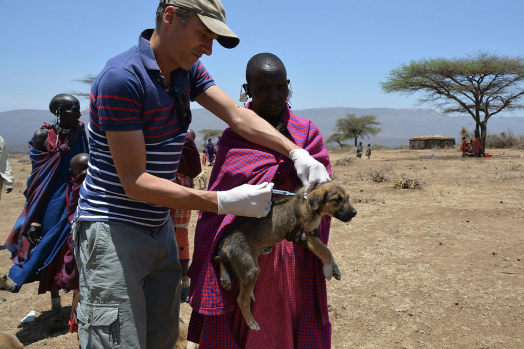 Dr. Felix Lankester vaccinates a dog in Tanzania as part of the Rabies Free Africa program.