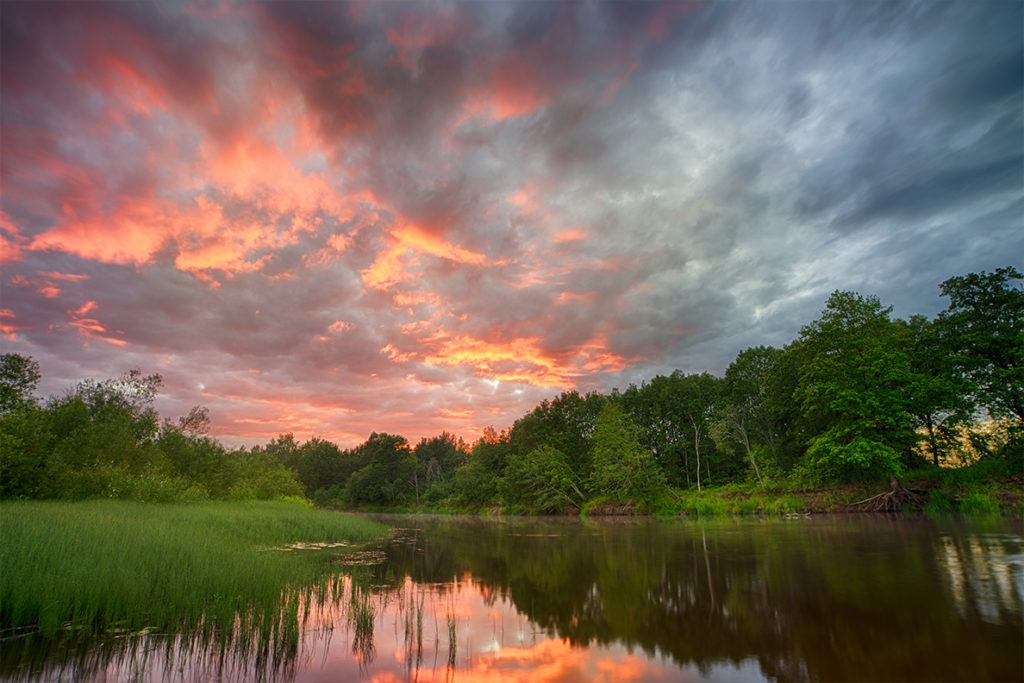 Amazon river