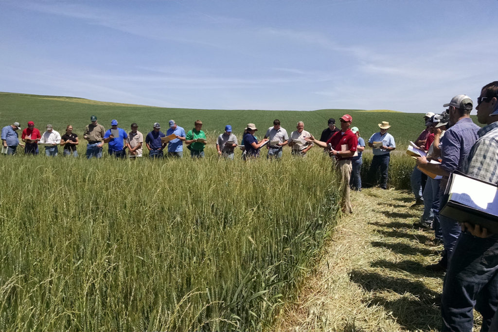Participants standing in a field listening to a presentation.