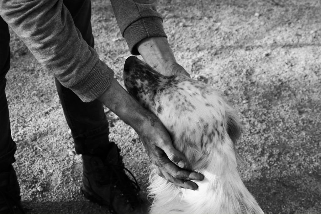 A man petting an old dog.
