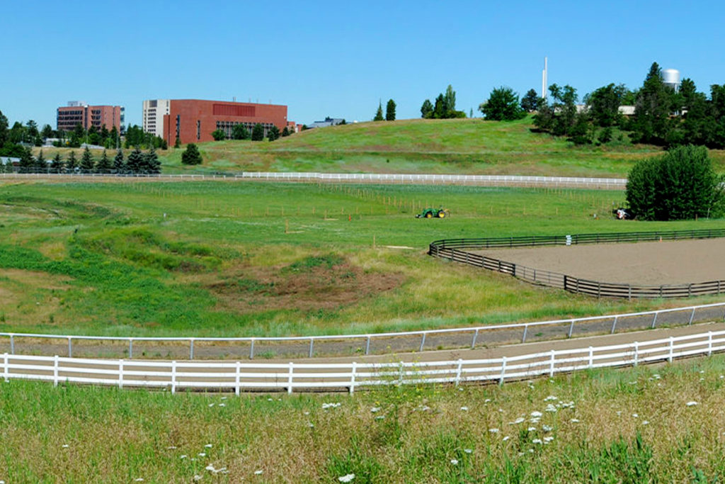 View of the Hitchcock Research Track.