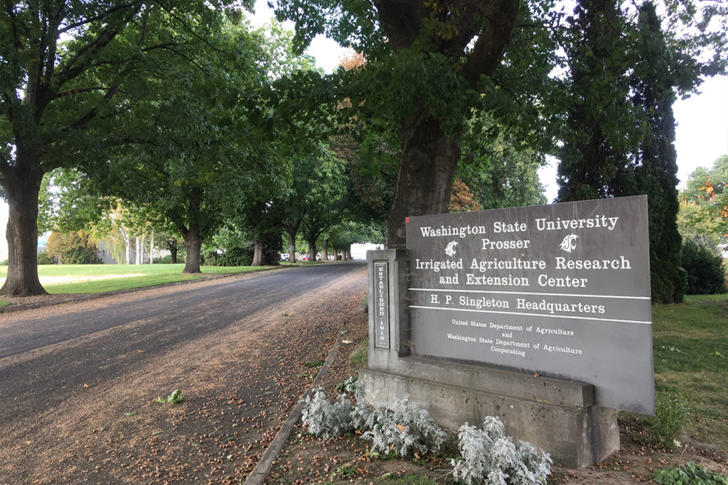 Entrance to the campus of WSU’s Irrigated Agriculture Research and Extension Center.