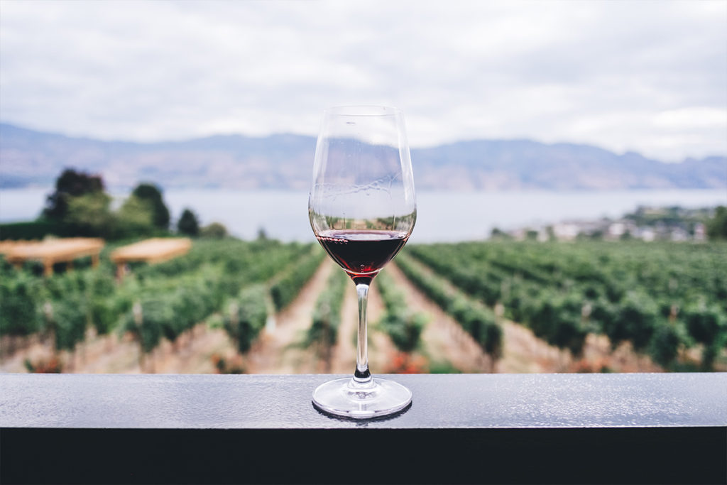A glass of wine with a vineyard in the background.