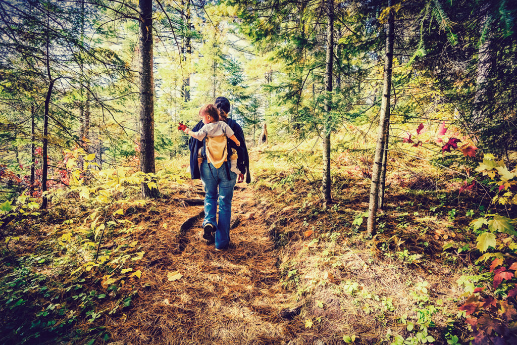 A man and his boy walk through a forest