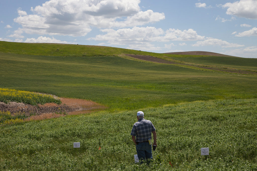 A man standing in a field.