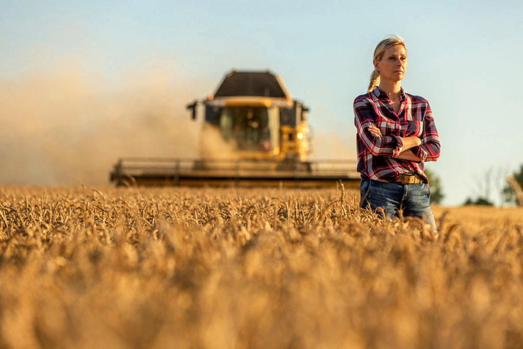 A woman stands in front of a combine harvesting wheat.