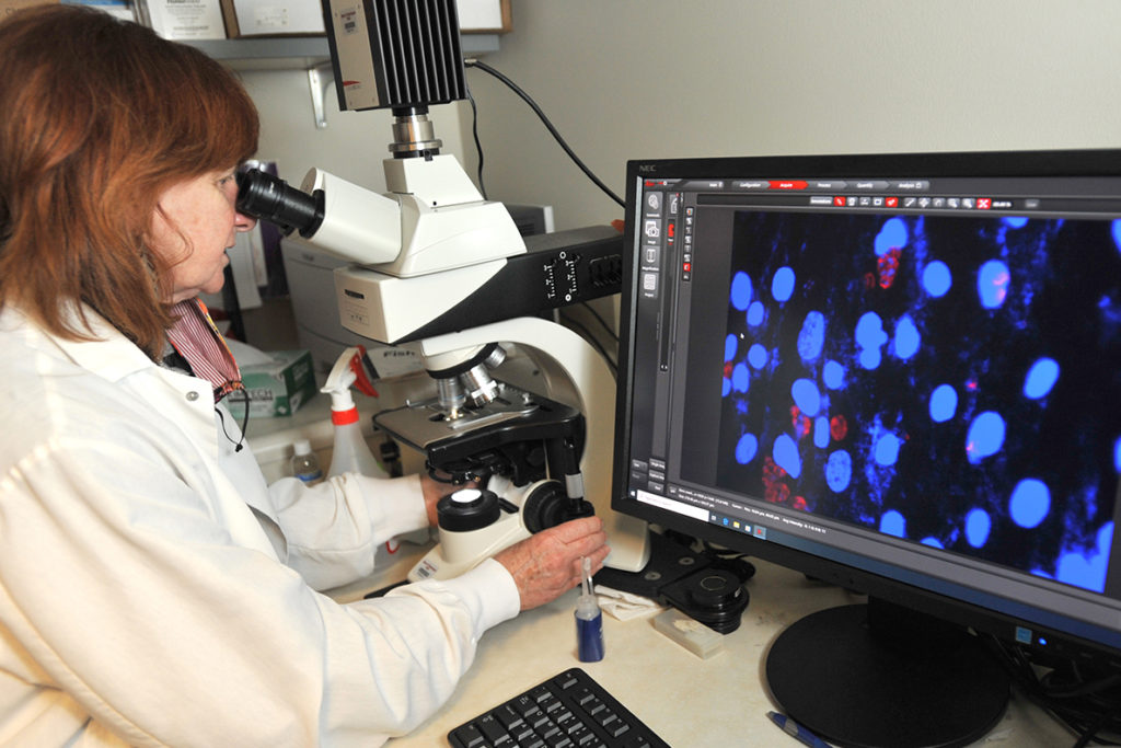 Roberta O'Connor using a microscope and computer.
