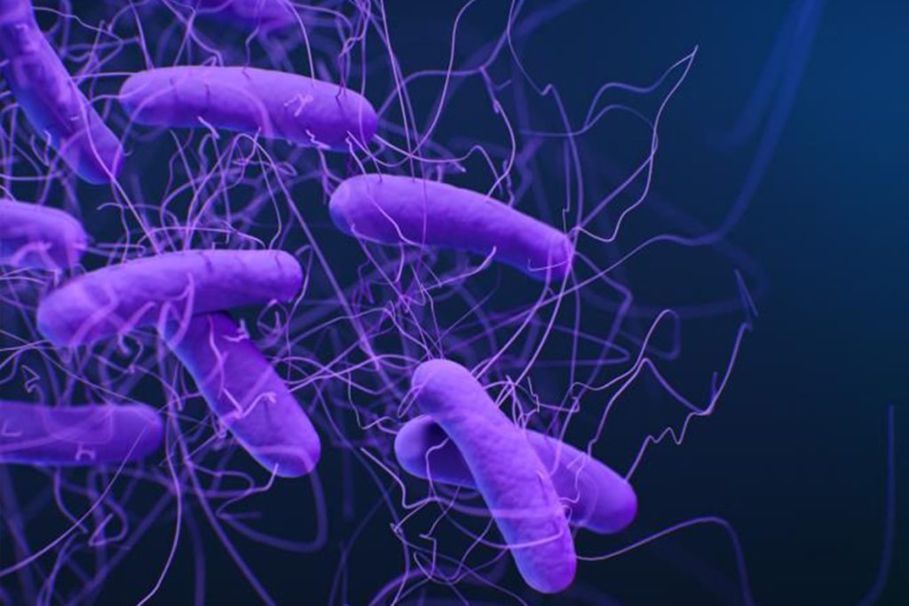 This is a medical illustration of Clostridioides difficile bacteria