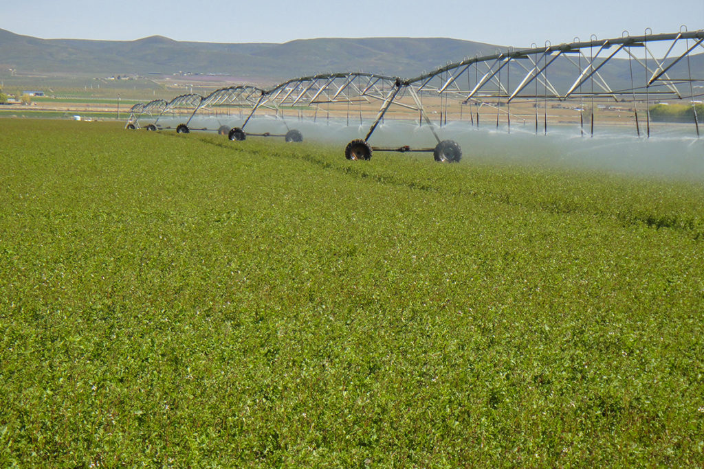 An irrigation system
