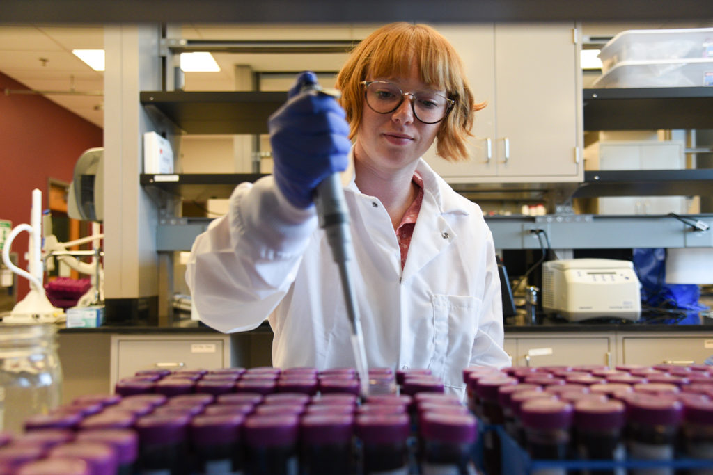 A student working in a laboratory