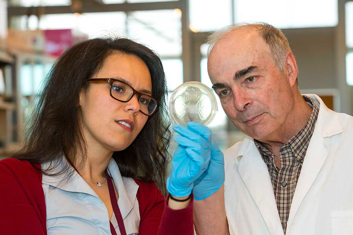 WSU research behind potential game-changing Alzheimer's drug | WSU Insider 