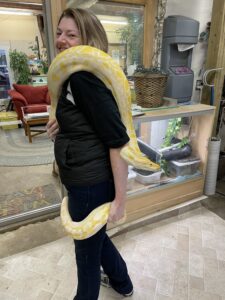 Woman standing with a large snake wrapped around her.