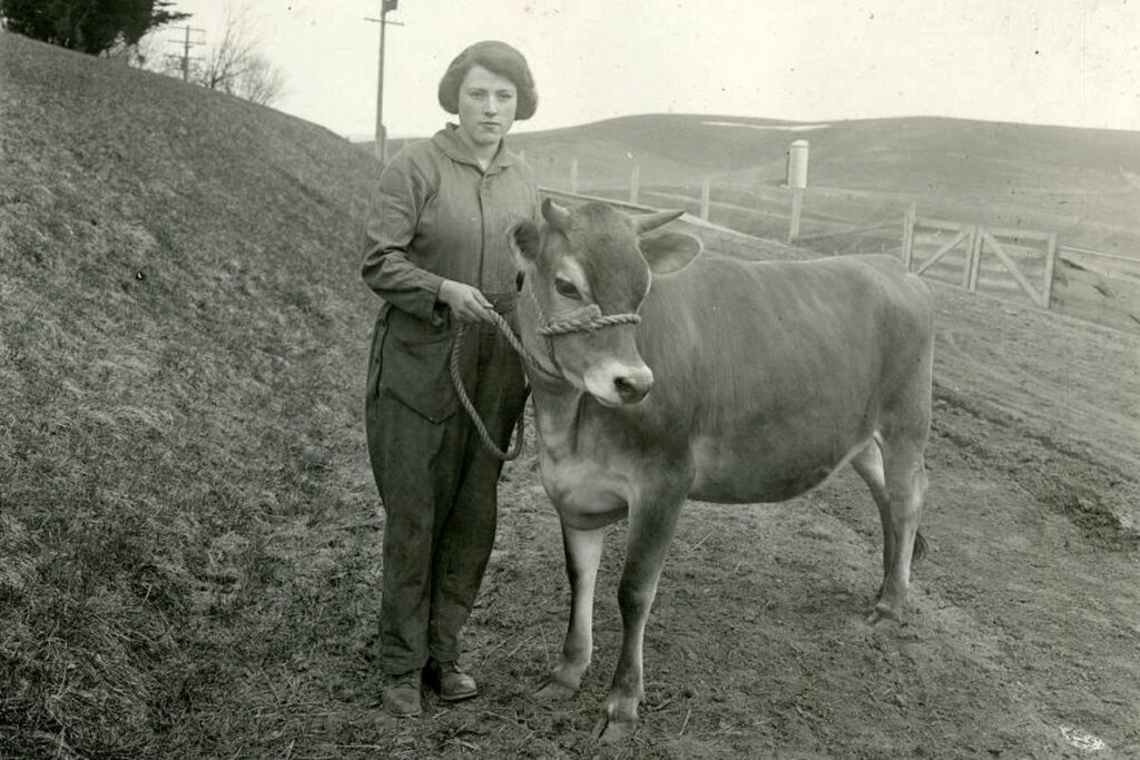 A young woman with a steer in the 1920s.