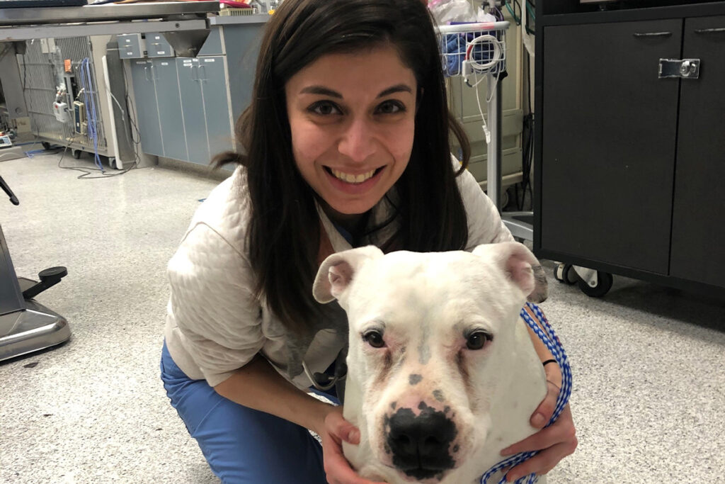 Closeup of Sarvenaz Bagheri