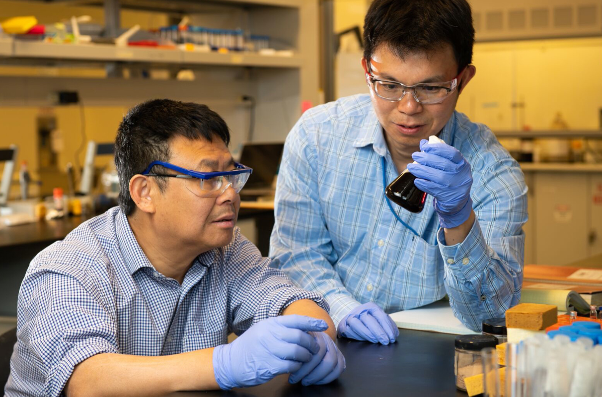 New artificial enzyme breaks down tough lignin WSU Insider