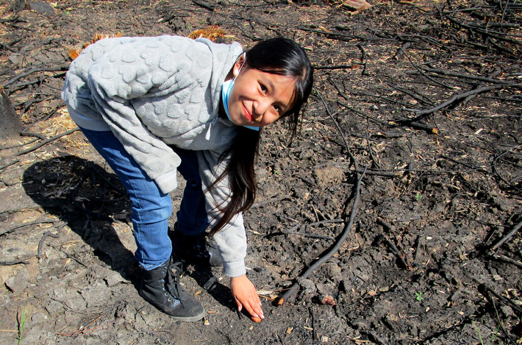 A student places a seed bomb on charred ground on Colville Reservation.