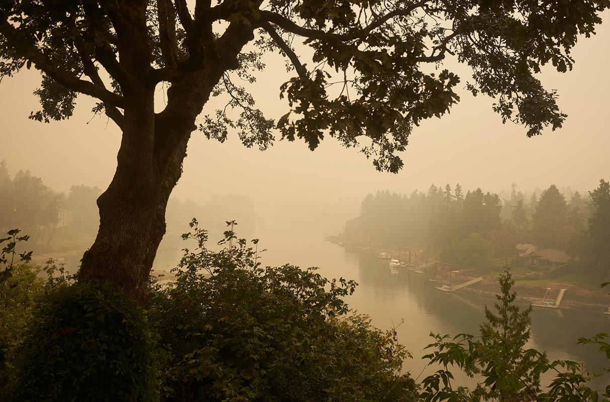 WSU institutes new wildfire smoke policy - Vimarsana News