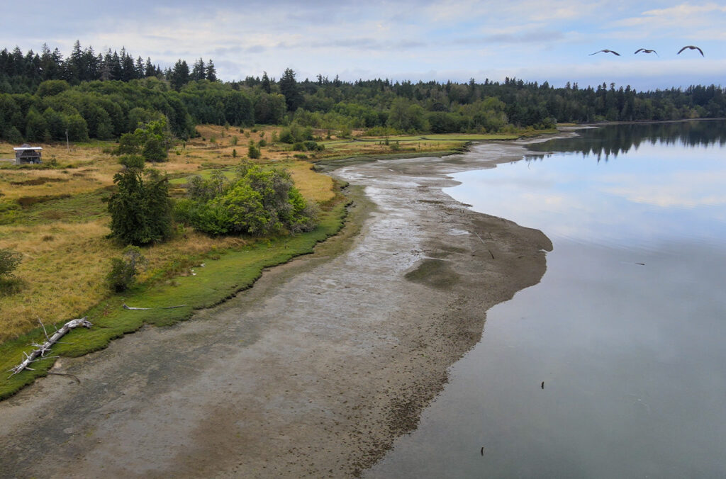 View of the Puget Sound shoreline.