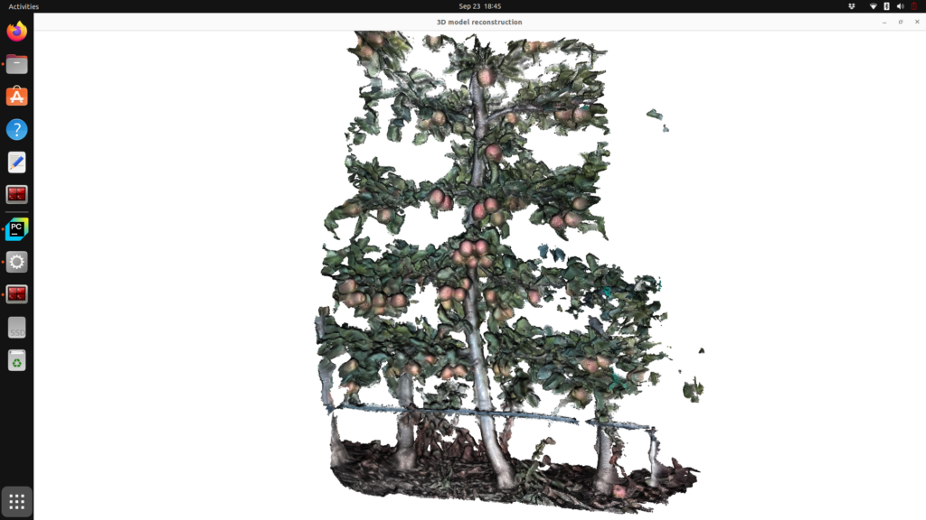 A 3D scan created of an apple tree.