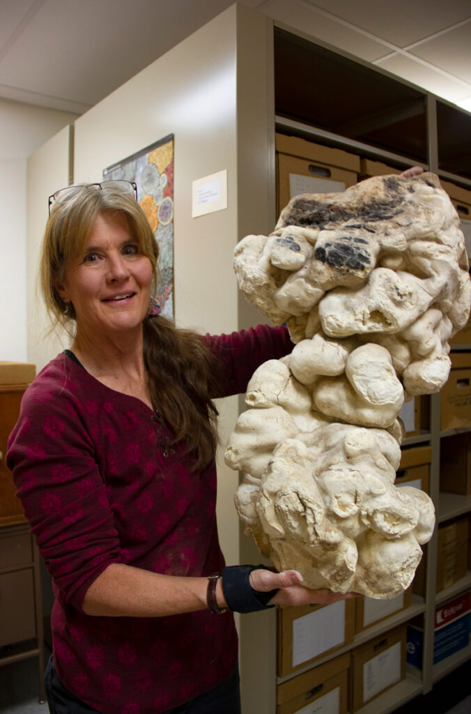 Slipher holding a big and bulbous specimen of Fomitopsis officinalis.