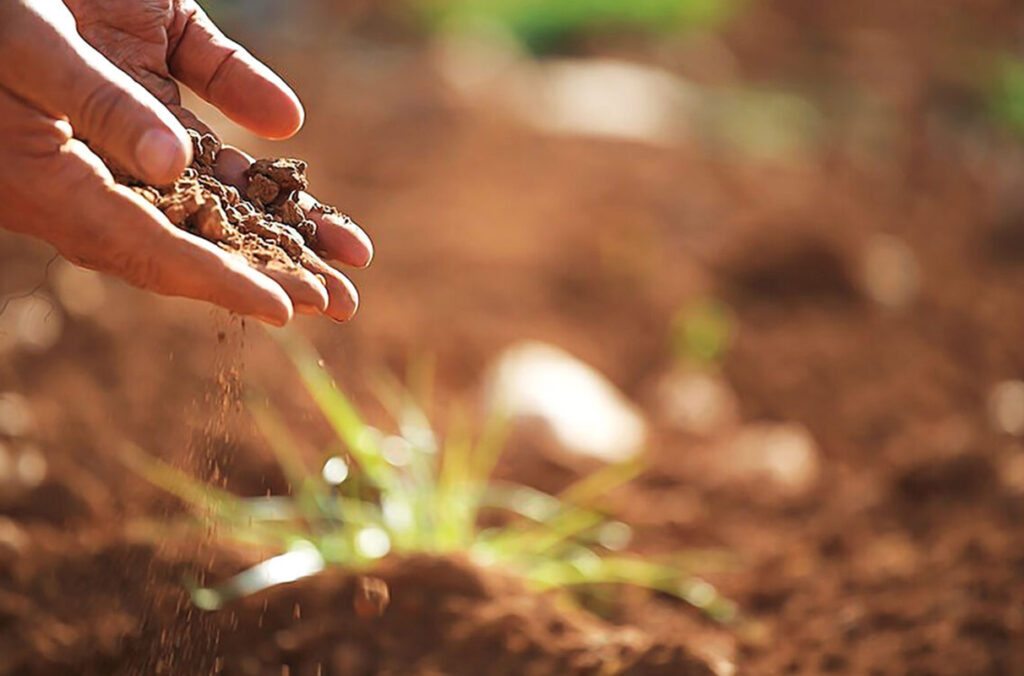 A pair of hands holding soil over a field as dirt slips through their fingers.