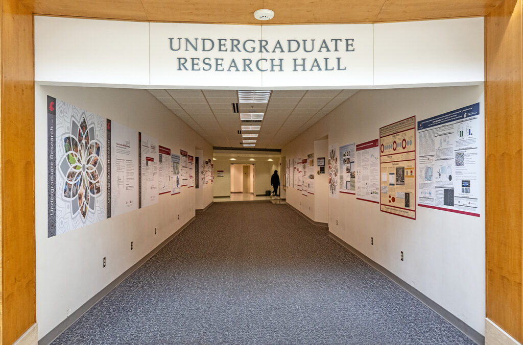One of the new undergraduate research halls.