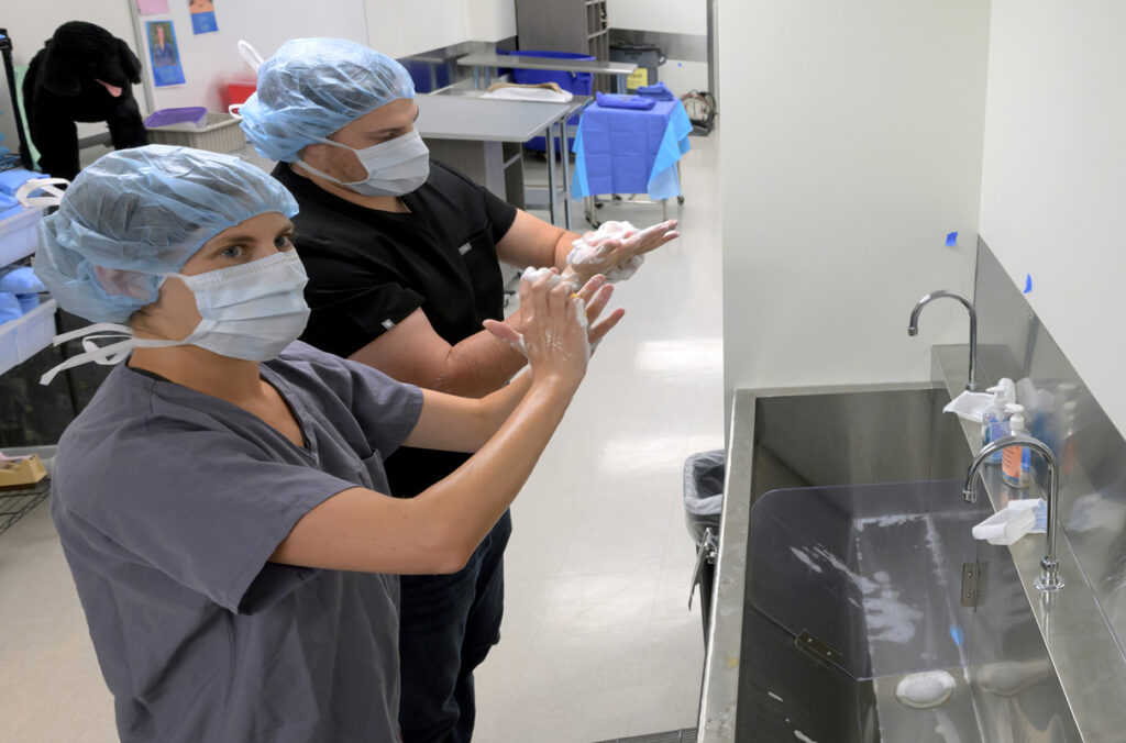 Two veterinary students washing their hands.
