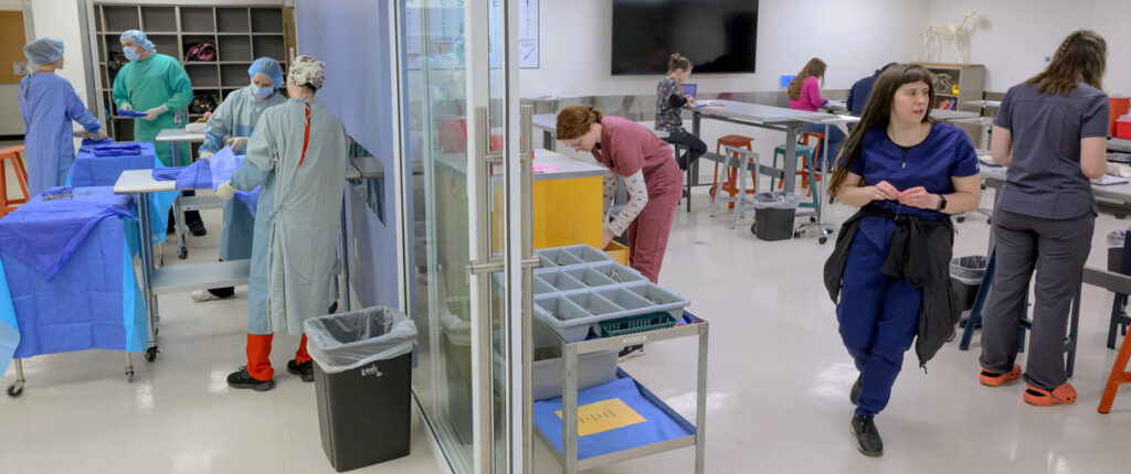 Veterinary students working at tables while others practice surgical techniques.