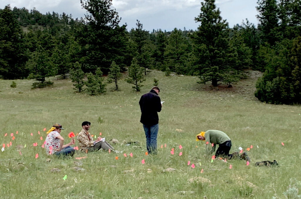 Four participants plant flags in a grassy field as they survey an archeology site.
