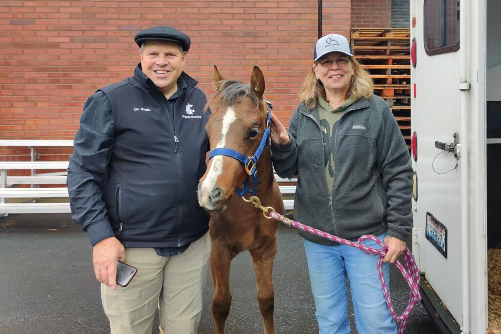 A horse, its owner, and an equine veterinarian posing for a photo before it is loaded into a trailer.