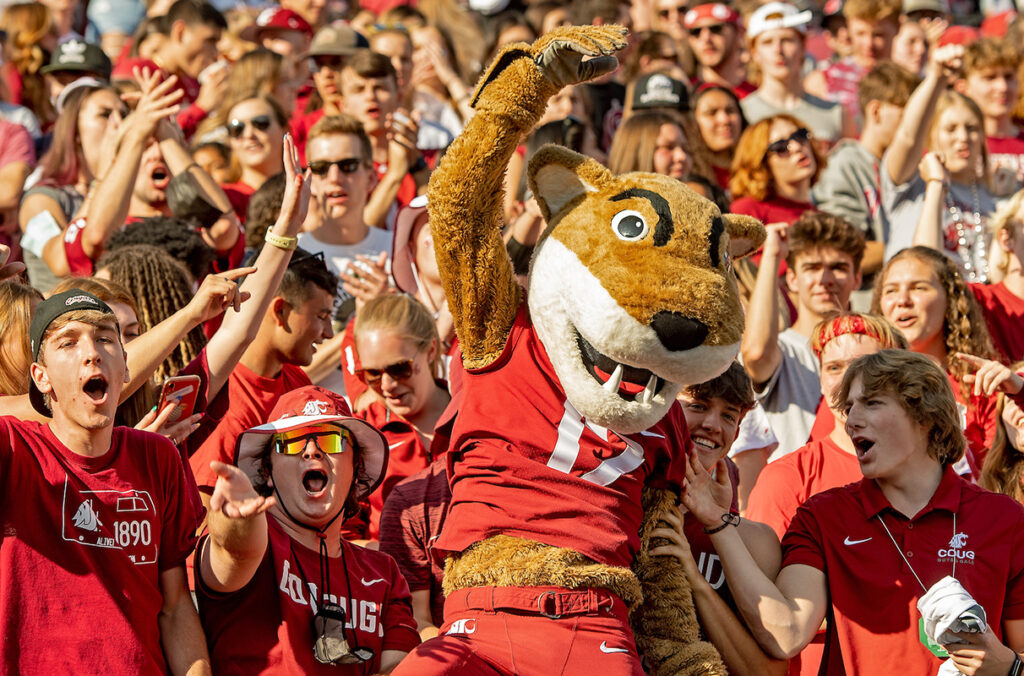 Butch T. Cougar mascot surround by fans during a WSU home football game.
