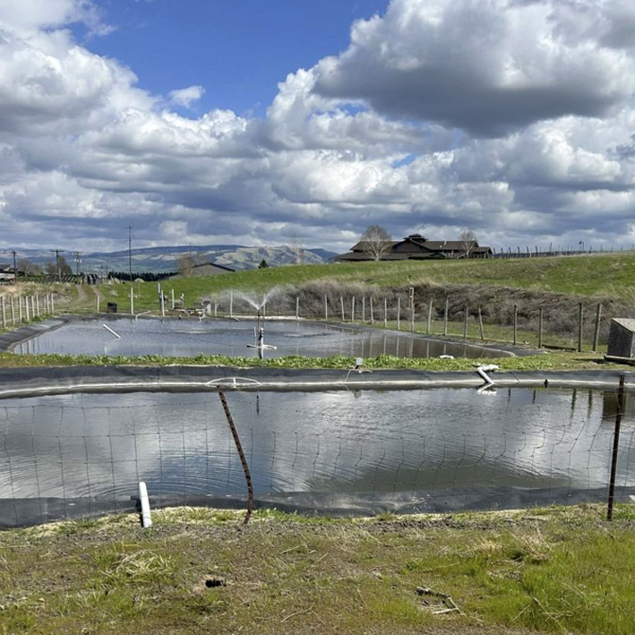 Closeup of two ponds that are part of a biodynamic worm farm.
