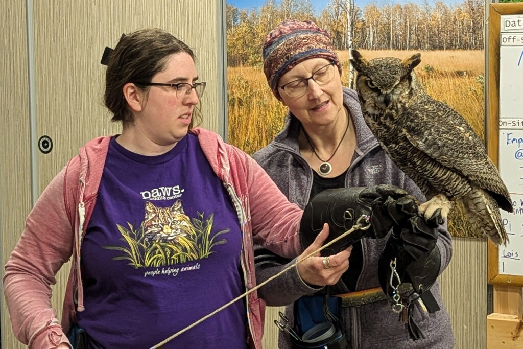 Hannah Tarlyn and Gail Buhl wear large gloves as they train with Eugene the owl.