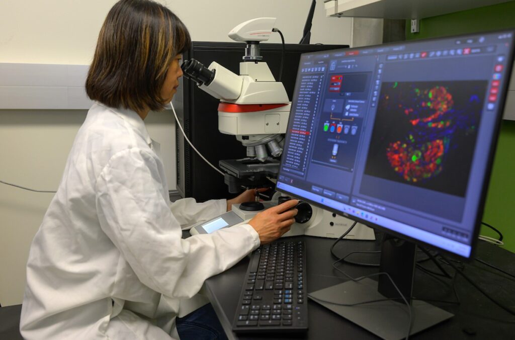 A researcher works at a microscope beside a computer screen.