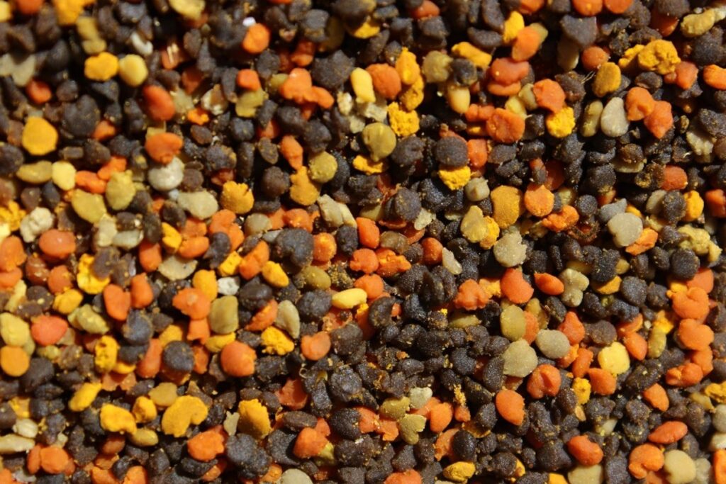 A variety of pollen trapped at a honey bee colony entrance.