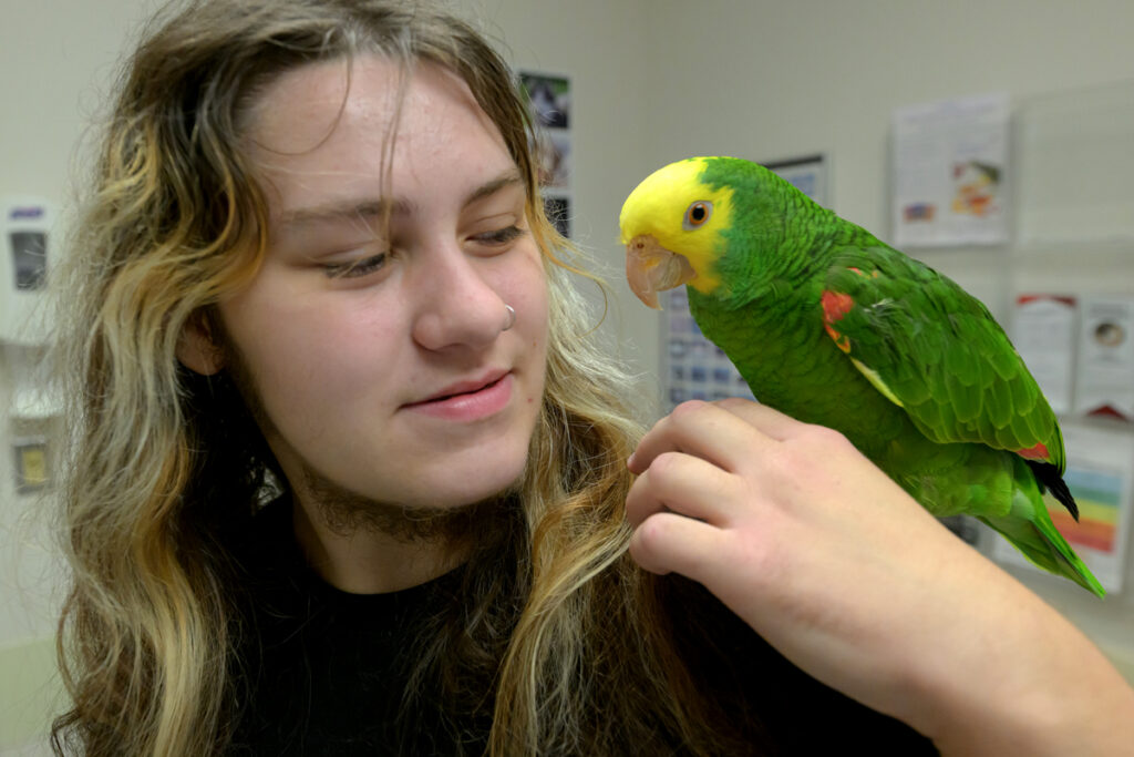 Closeup of Zinnia, a double yellow-headed Amazon parrot, and one of her owners, Finn Wichert.